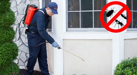 Sarıveliler Tahtakurusu İlaçlama böcek ilaçlama ve haşere kontrolü — ilaclama-tr.com